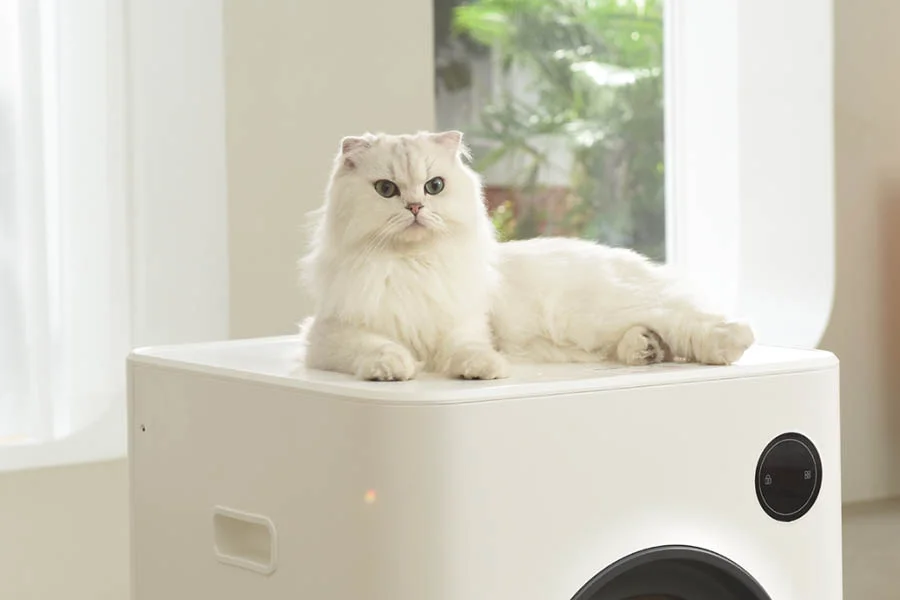 odourless litter box