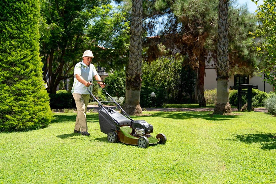 cordless self propelled lawn mowers